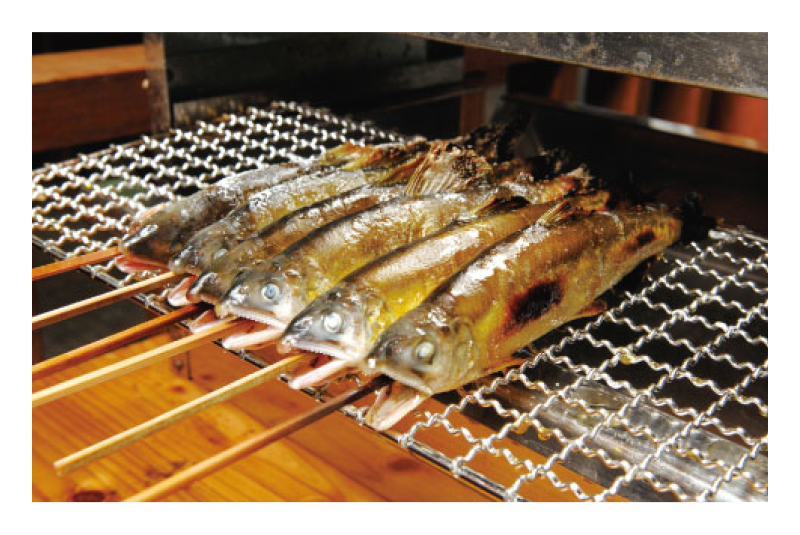 [object Object],[object Object],[object Object],[object Object]