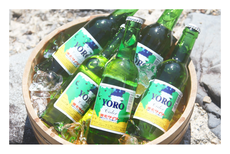 [object Object],[object Object],[object Object],[object Object]